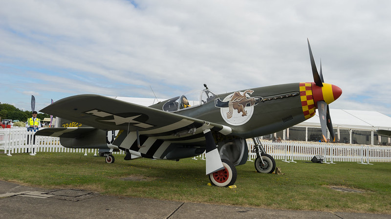Dan Friedkin's 'Berlin Express' plane. Pic: Falcon_33 on Flickr
