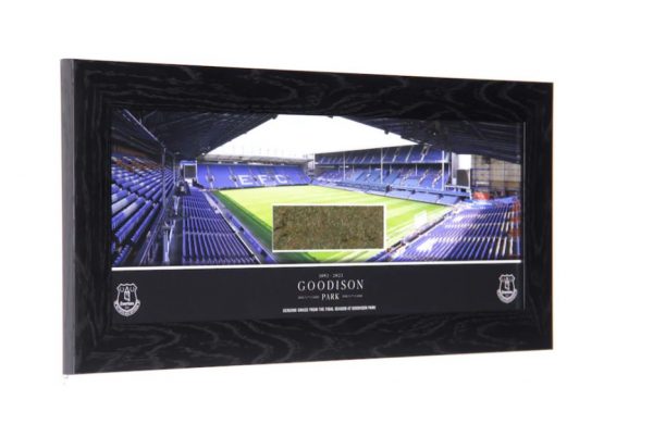 Everton Goodison Park Framed Grass - 20inch Panoramic