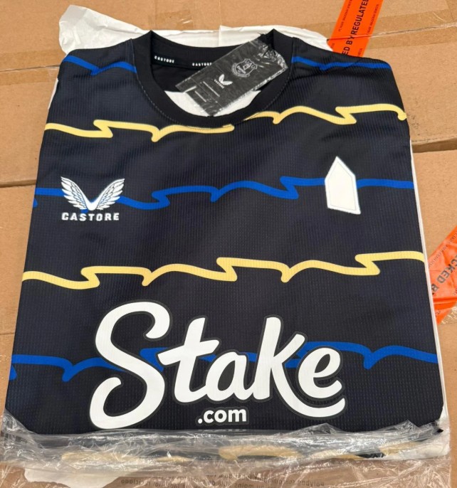 Everton third kit